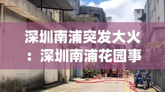 深圳南浦突发大火：深圳南浦花园事件 