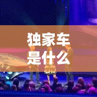 独家车是什么：独家意思 