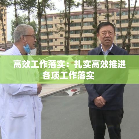 高效工作落实：扎实高效推进各项工作落实 