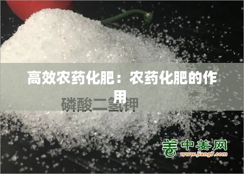 自由自在 第2页