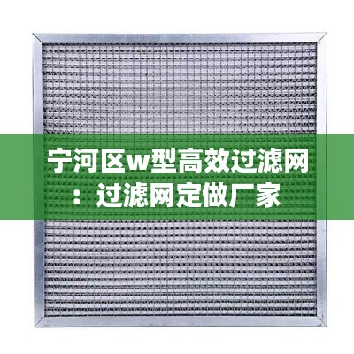 宁河区w型高效过滤网：过滤网定做厂家 