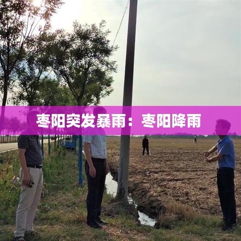 枣阳突发暴雨：枣阳降雨 