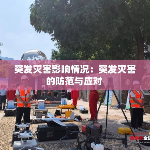 突发灾害影响情况：突发灾害的防范与应对 
