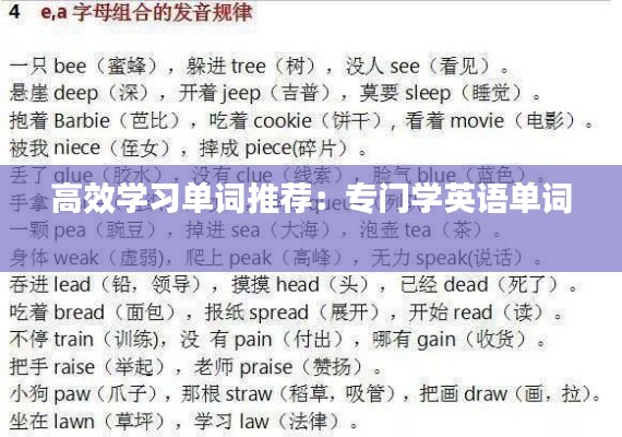 高效学习单词推荐：专门学英语单词 