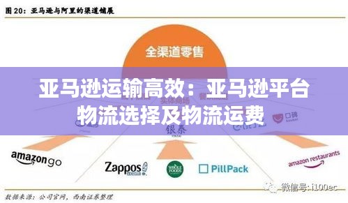 亚马逊运输高效：亚马逊平台物流选择及物流运费 