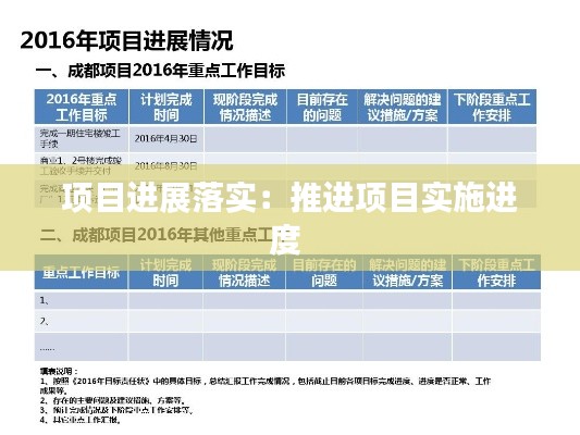 项目进展落实：推进项目实施进度 