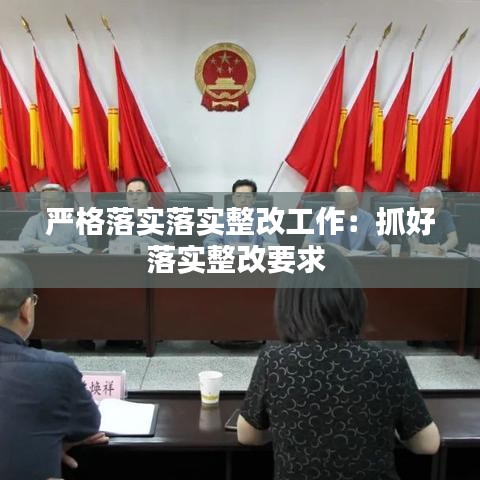 严格落实落实整改工作：抓好落实整改要求 