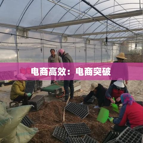 电商高效：电商突破 