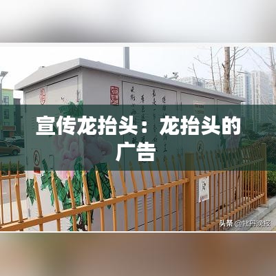 宣传龙抬头：龙抬头的广告 