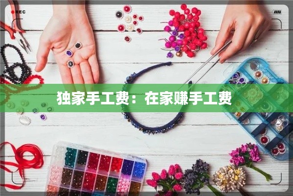 独家手工费：在家赚手工费 