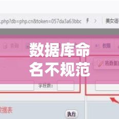 数据库命名不规范：数据库名称命名 