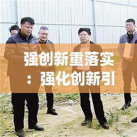 强创新重落实：强化创新引领作用 