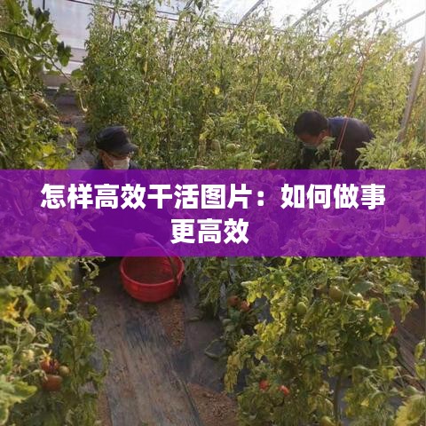 怎样高效干活图片：如何做事更高效 