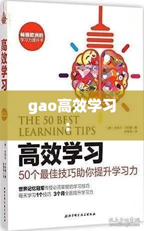 gao高效学习： 