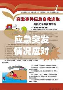 应急突发情况应对，明智决策与行动指南