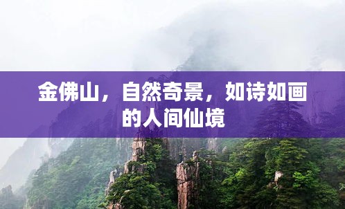 金佛山，自然奇景，如诗如画的人间仙境