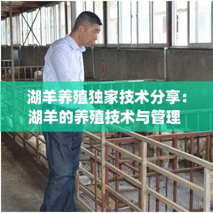 湖羊养殖独家技术分享：湖羊的养殖技术与管理 