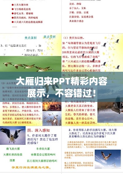 大雁归来PPT精彩内容展示，不容错过！