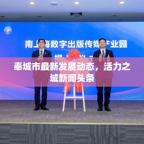 奉城市最新发展动态，活力之城新闻头条