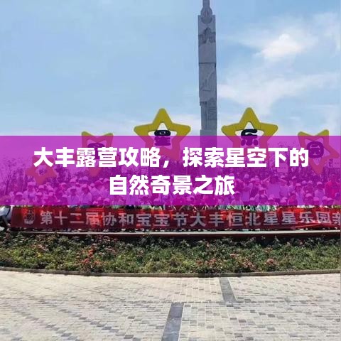 大丰露营攻略，探索星空下的自然奇景之旅