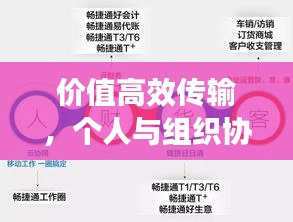 价值高效传输，个人与组织协同成长的秘诀