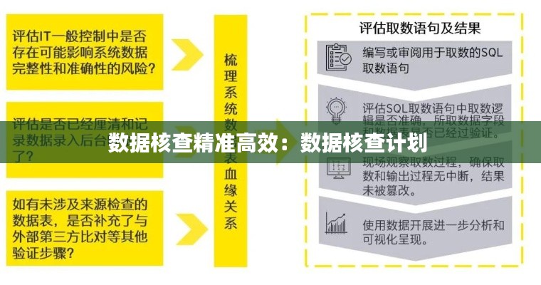 数据核查精准高效：数据核查计划 