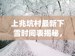 上兆坑村最新下雪时间表揭秘，雪景与时间表相伴，美不胜收
