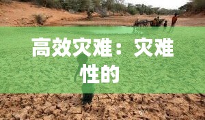 高效灾难：灾难性的 