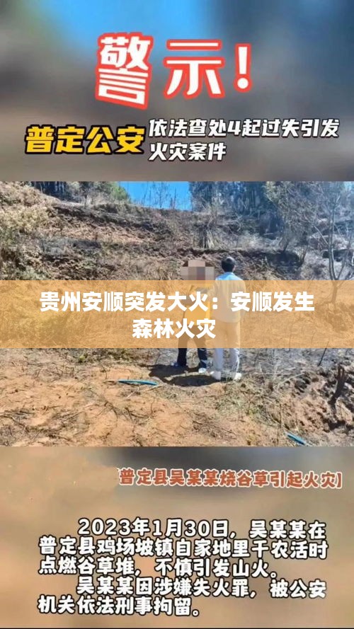 贵州安顺突发大火：安顺发生森林火灾 