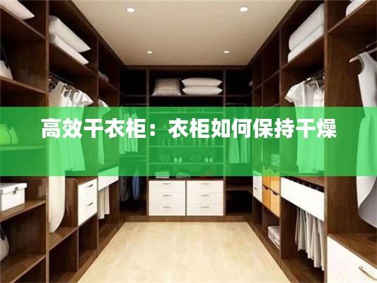 高效干衣柜：衣柜如何保持干燥 
