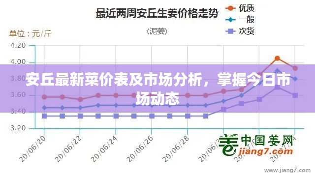 安丘最新菜价表及市场分析，掌握今日市场动态