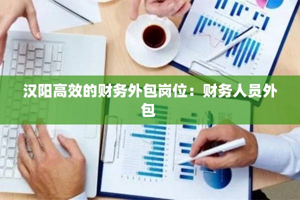 汉阳高效的财务外包岗位：财务人员外包 