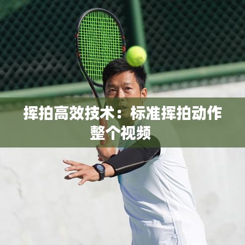 挥拍高效技术：标准挥拍动作整个视频 