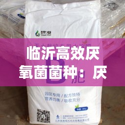 临沂高效厌氧菌菌种：厌氧菌培养设备 