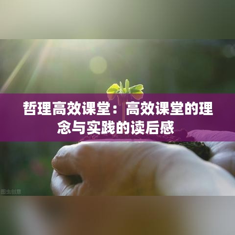 哲理高效课堂：高效课堂的理念与实践的读后感 