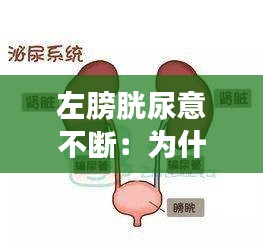 左膀胱尿意不断：为什么左边膀胱一阵一阵的痛 