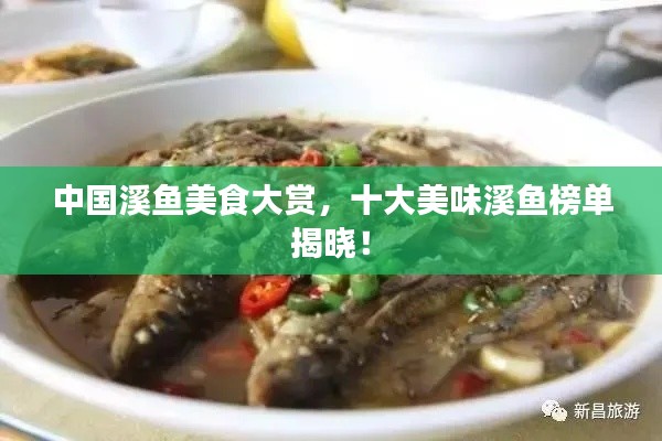 中国溪鱼美食大赏，十大美味溪鱼榜单揭晓！