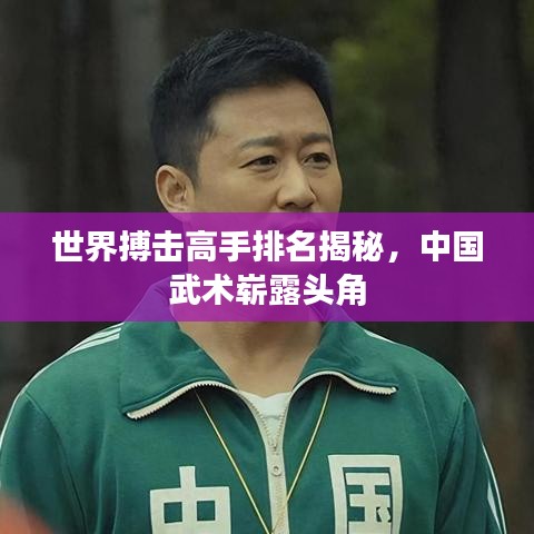 世界搏击高手排名揭秘，中国武术崭露头角
