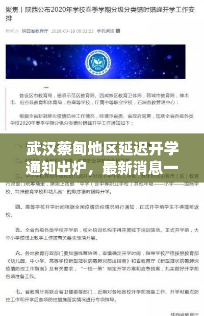 武汉蔡甸地区延迟开学通知出炉，最新消息一览