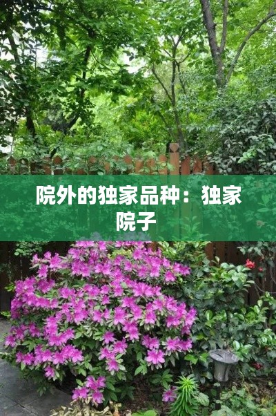 院外的独家品种：独家院子 