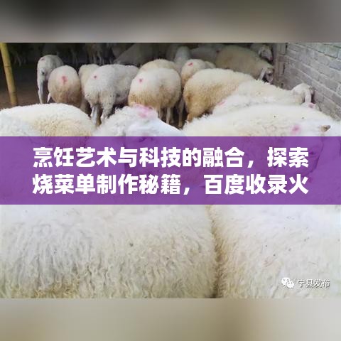 烹饪艺术与科技的融合，探索烧菜单制作秘籍，百度收录火热标题！