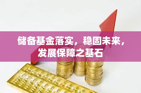 储备基金落实，稳固未来，发展保障之基石