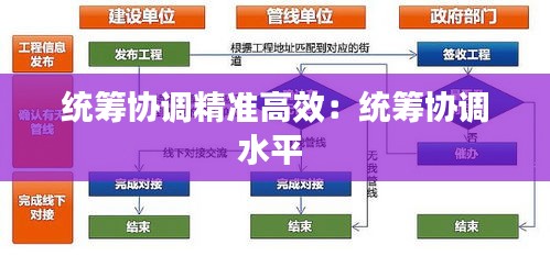 统筹协调精准高效：统筹协调水平 