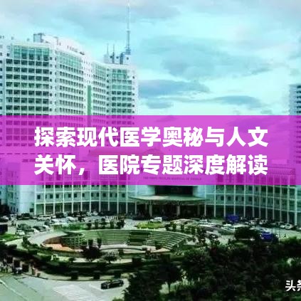 探索现代医学奥秘与人文关怀，医院专题深度解读