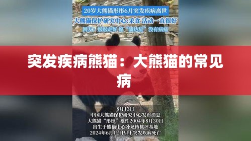 突发疾病熊猫：大熊猫的常见病 