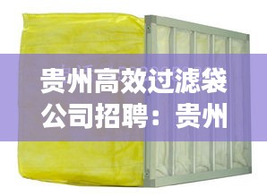 贵州高效过滤袋公司招聘：贵州过滤器 