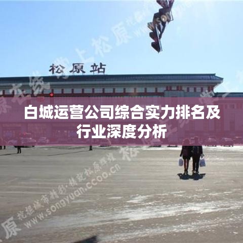 白城运营公司综合实力排名及行业深度分析