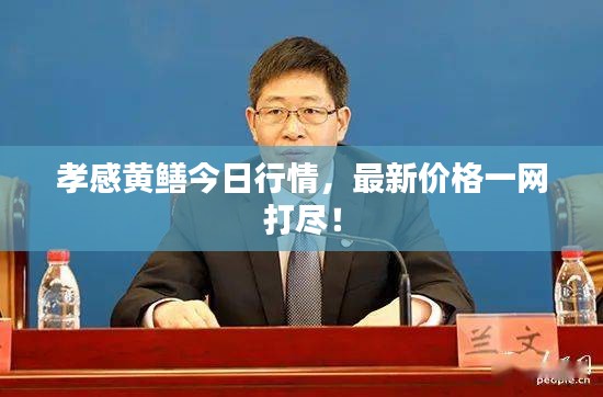 孝感黄鳝今日行情，最新价格一网打尽！