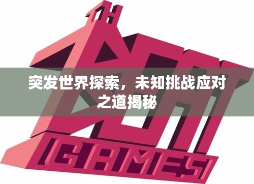 突发世界探索，未知挑战应对之道揭秘