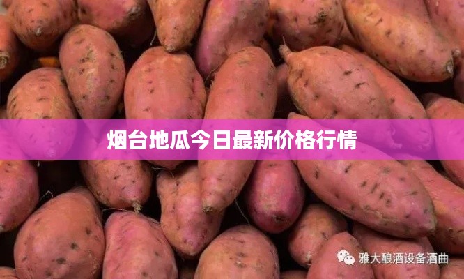 母凭子贵 第2页